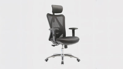 SIHOO Ergonomic High Back Office Chair