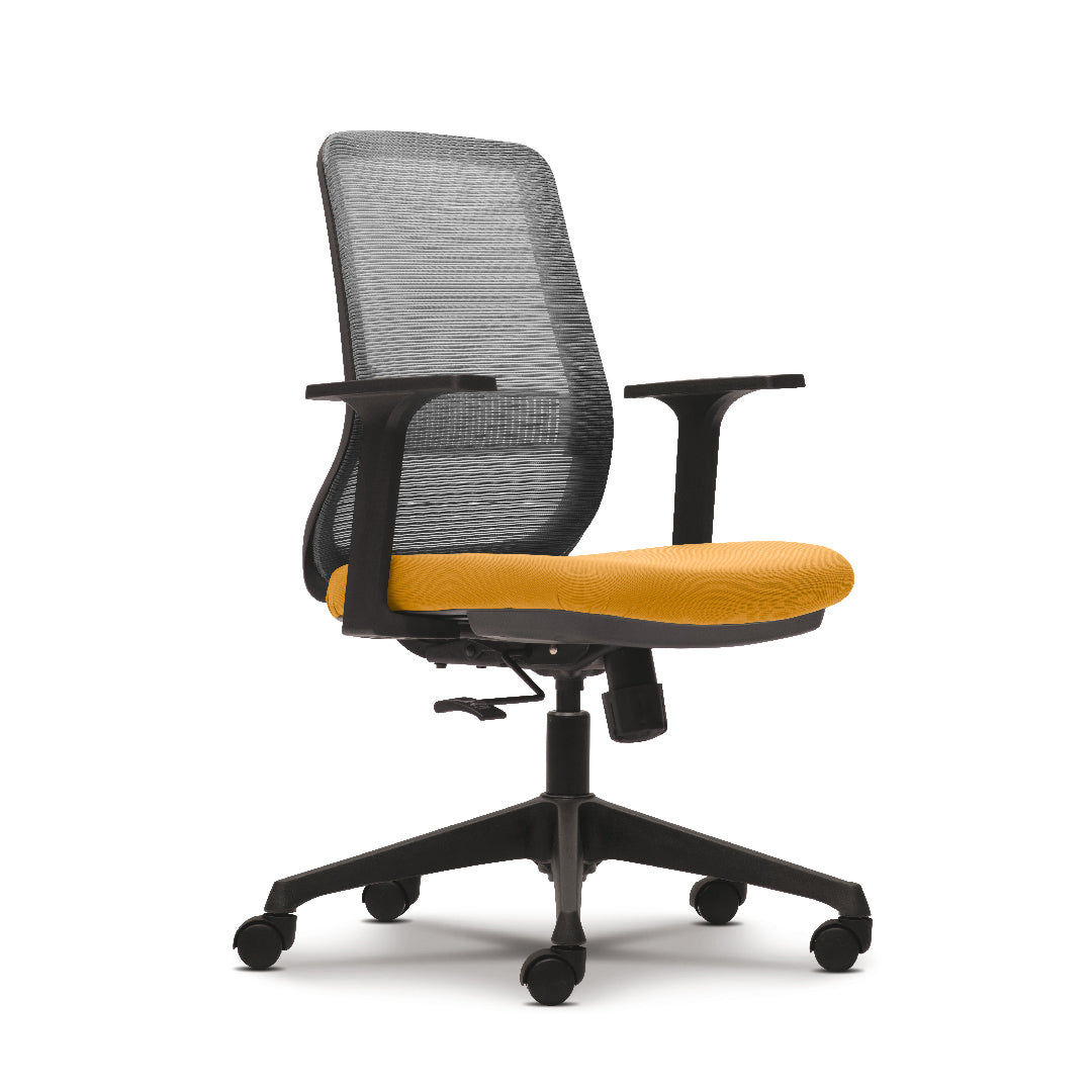 PRO-MESH II Low Back Executive Chair