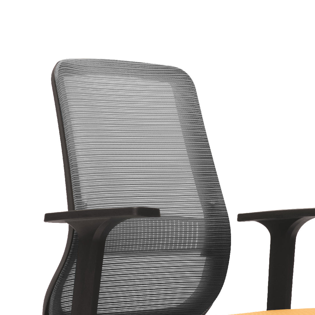 PRO-MESH II Low Back Executive Chair
