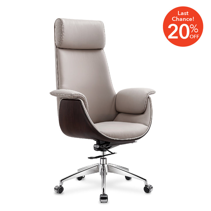 PULSE Director Chair