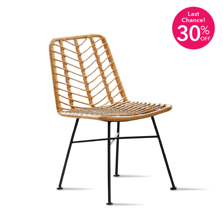 SILAS Dining Chair PE Rattan