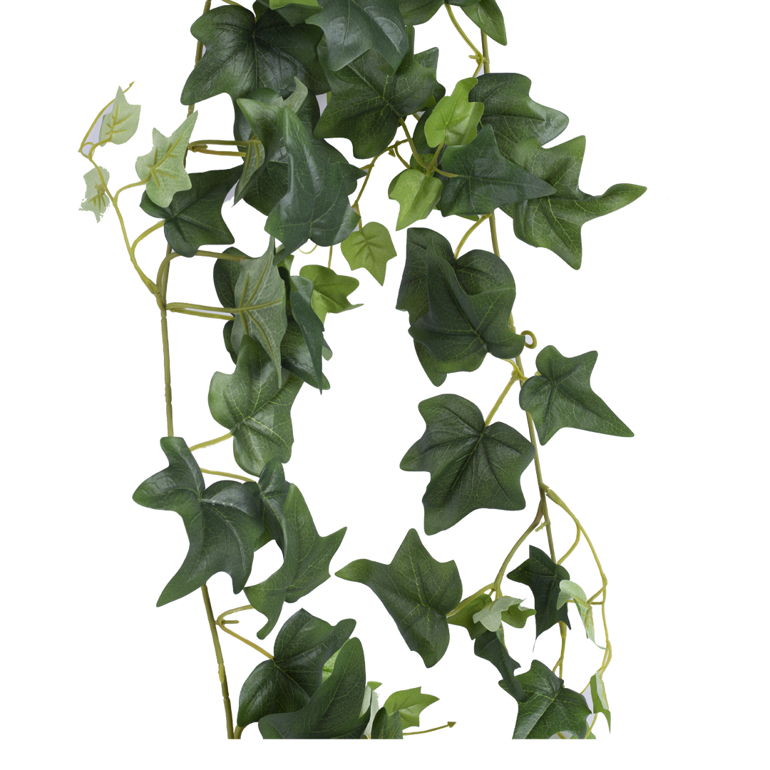 ENGLISH IVY Garland