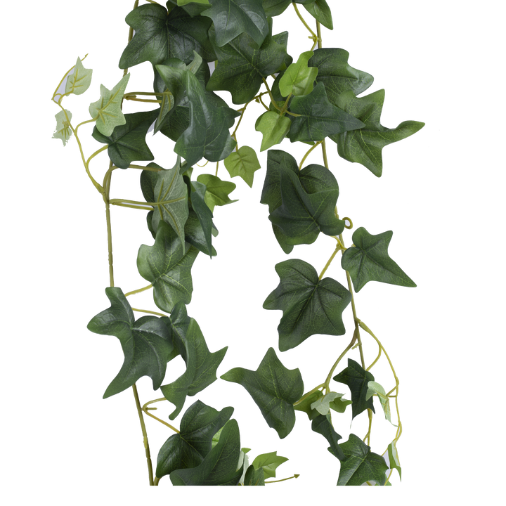 ENGLISH IVY Garland