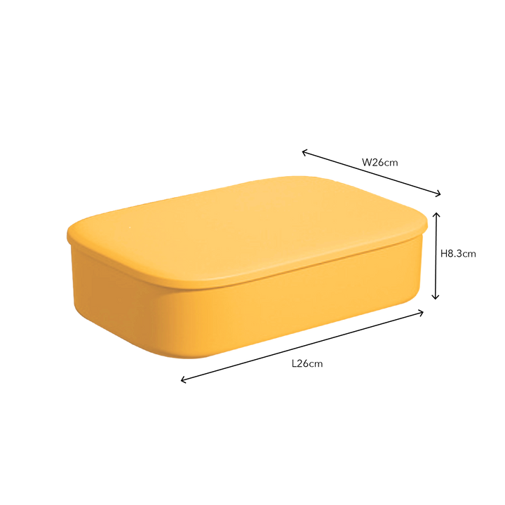 Flat Multipurpose Plastic Storage Box With Lid