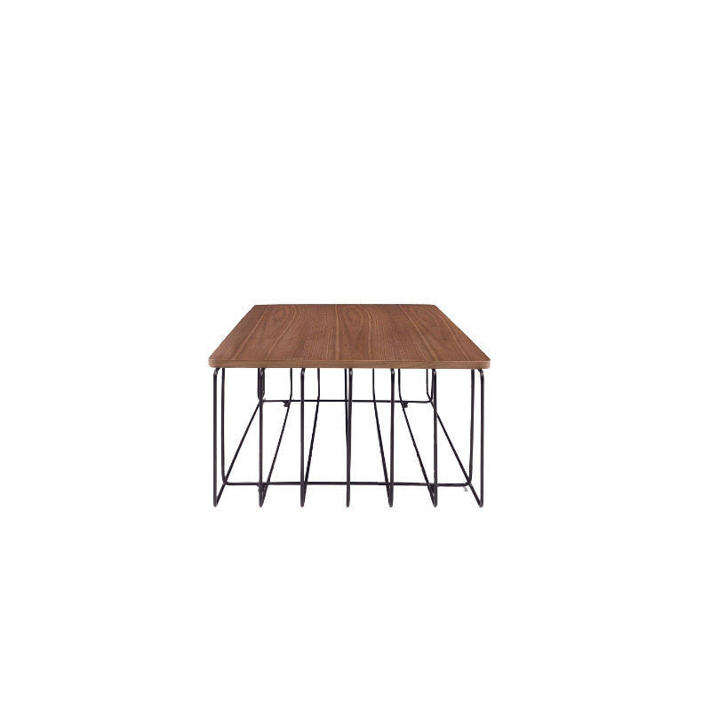 ALANZA Coffee Table
