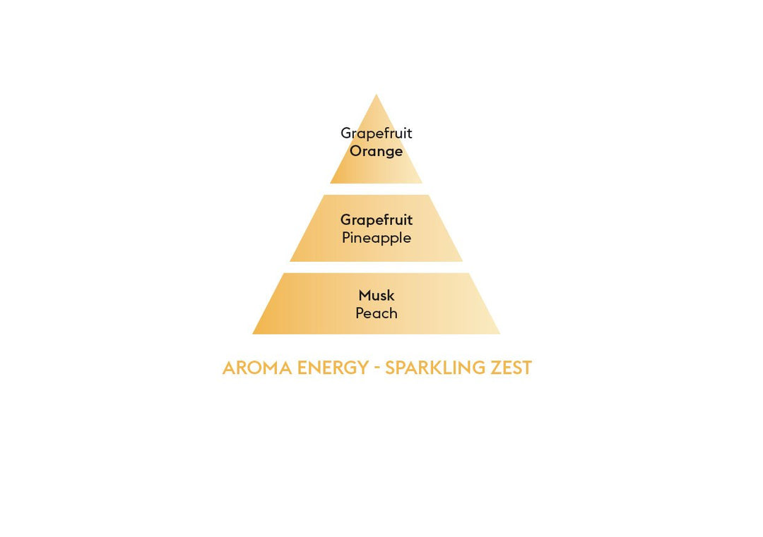 MAISON BERGER PARIS Car Diffuser Aroma Energy