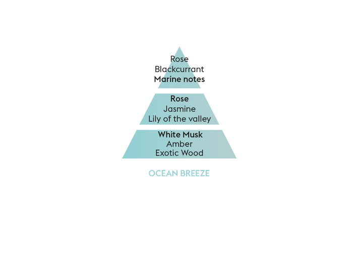 MAISON BERGER PARIS Scented Cube Ocean Breeze