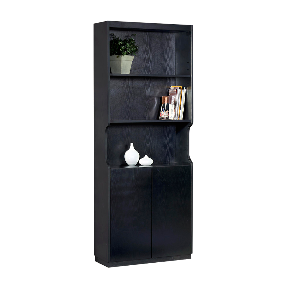 CHARLIE 2 Door Cabinet