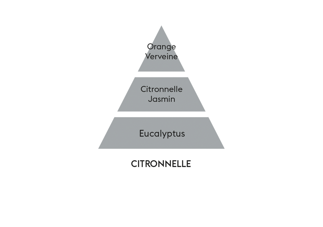MAISON BERGER PARIS Citronelle Lampe Refill