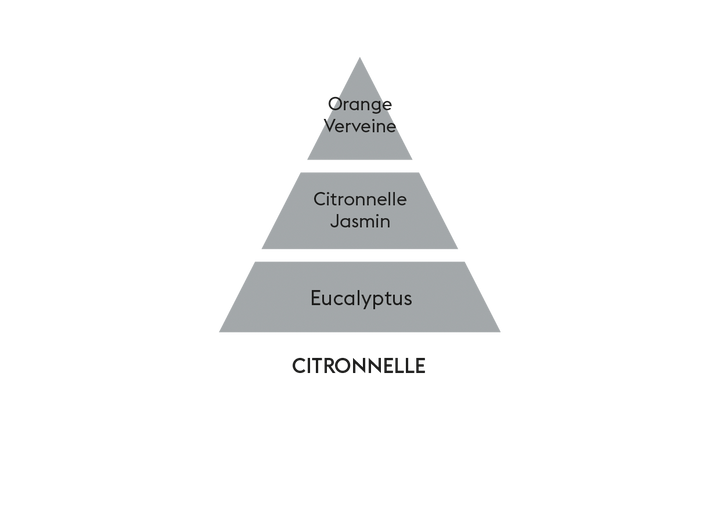 MAISON BERGER PARIS Citronelle Lampe Refill