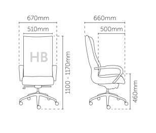 BAAS Wooden High Back Chair
