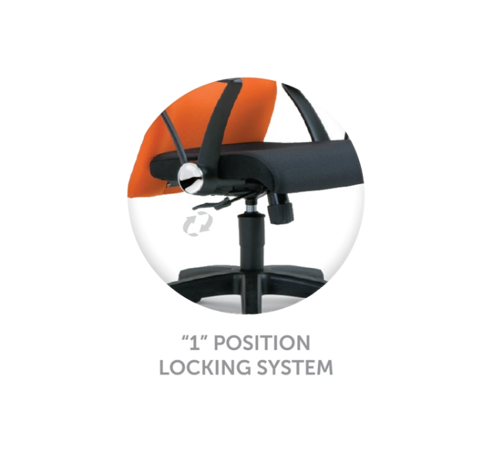 MOST Executive Low Back Chair