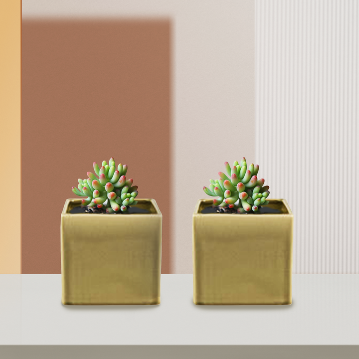 FACET Ceramic Decor Pot