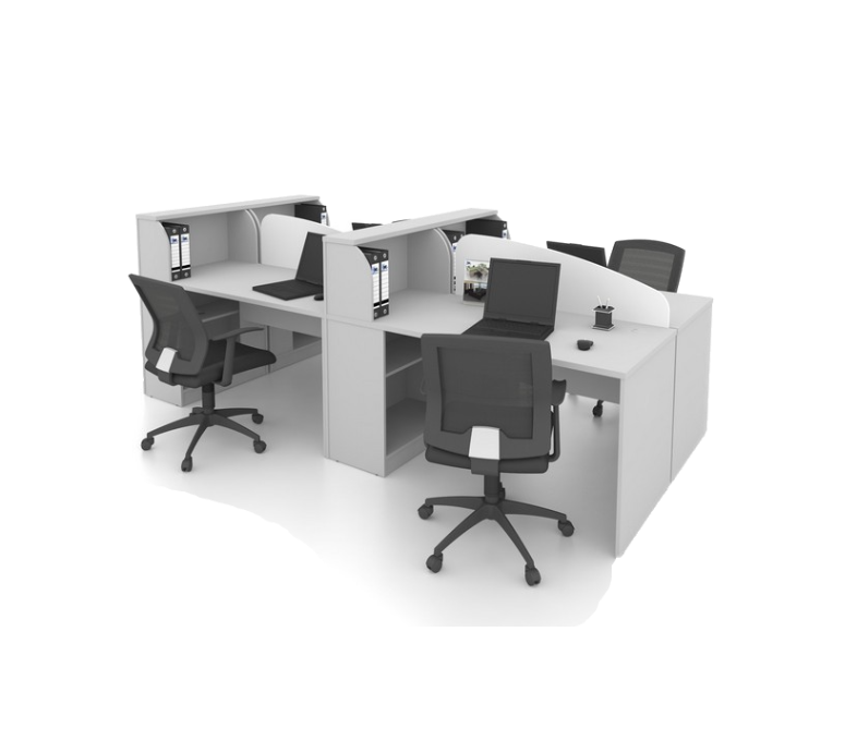 FICUS Workstation ( Cluster of 2 )