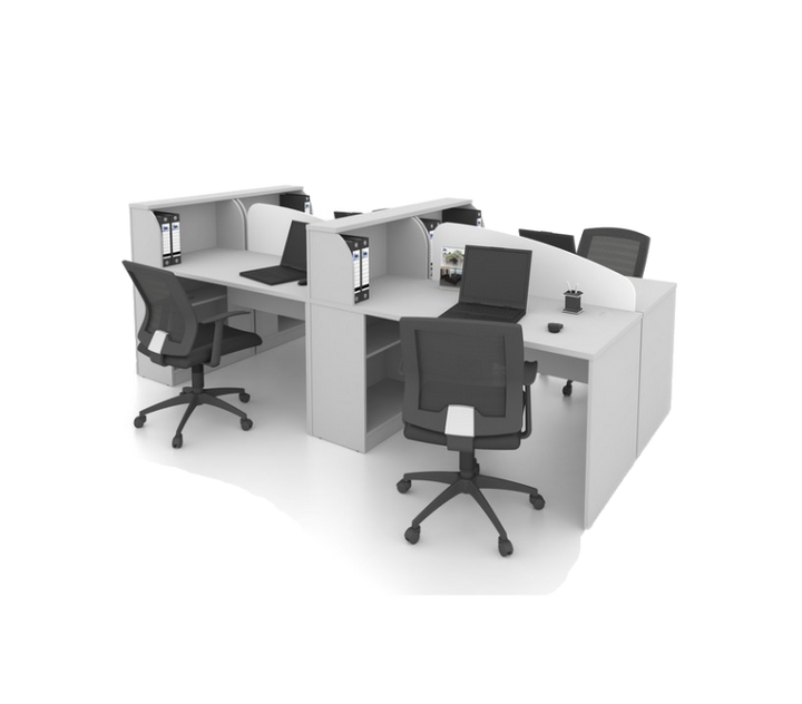 FICUS Workstation ( Cluster of 2 )