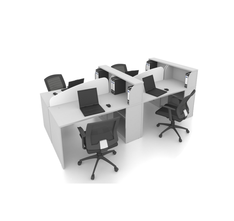 FICUS Workstation ( Cluster of 2 )