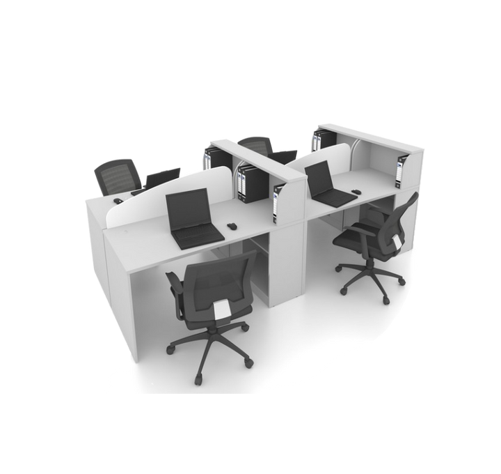 FICUS Workstation ( Cluster of 2 )