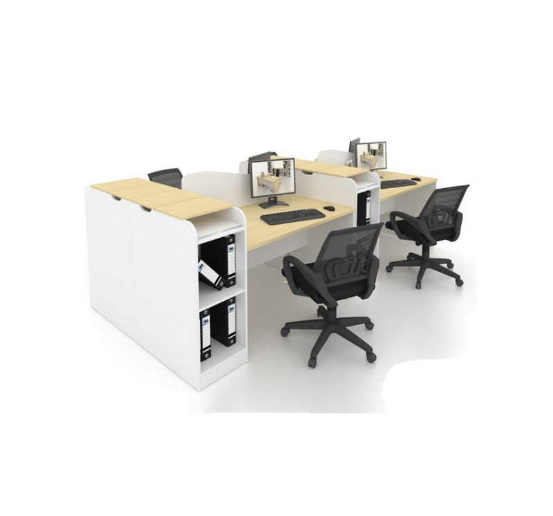 FRAXINUS Workstation ( Cluster of 2 )