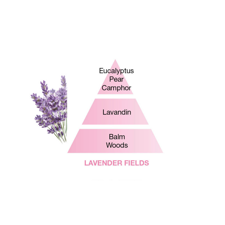 MAISON BERGER PARIS Lavender Fields Lampe Refill