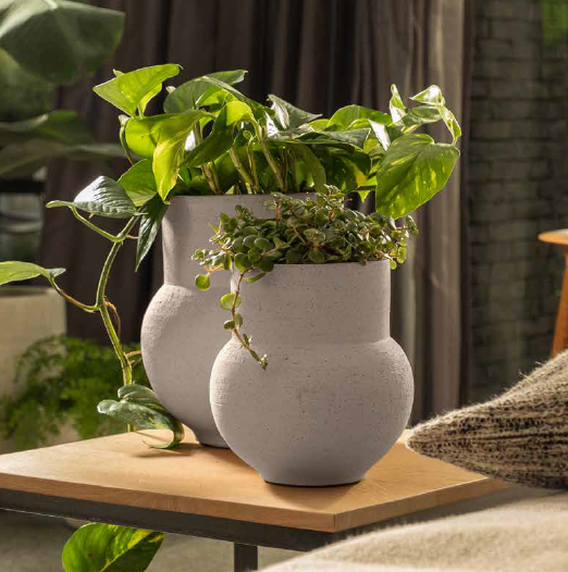 MUSH Ceramic Decor Pot