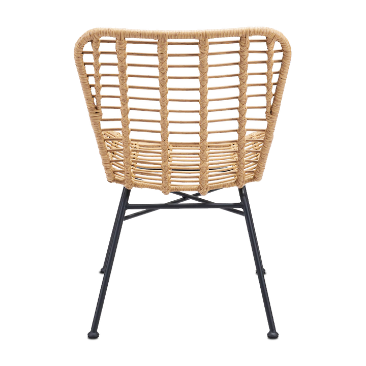 RANDY Dining Chair PE Rattan
