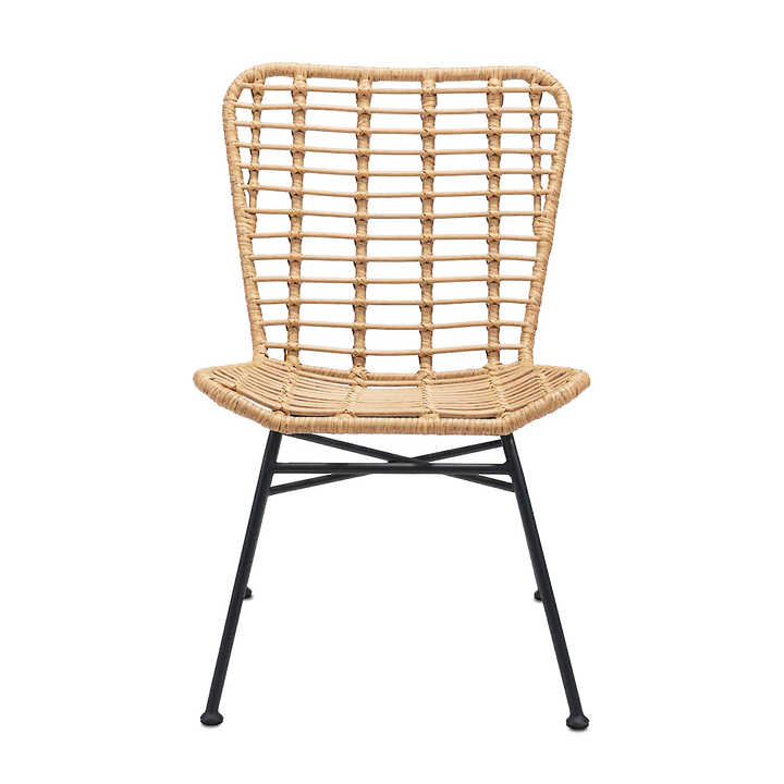 RANDY Dining Chair PE Rattan