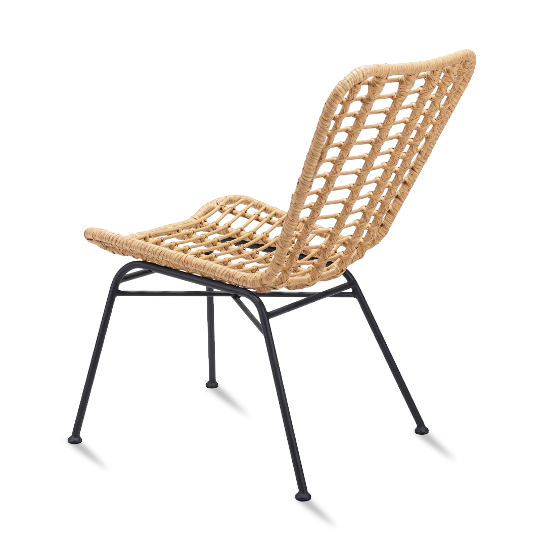 RANDY Dining Chair PE Rattan