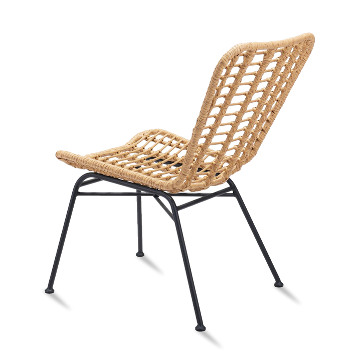 RANDY Dining Chair PE Rattan