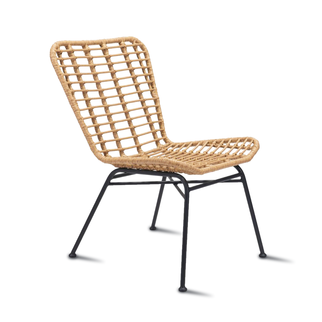 RANDY Dining Chair PE Rattan