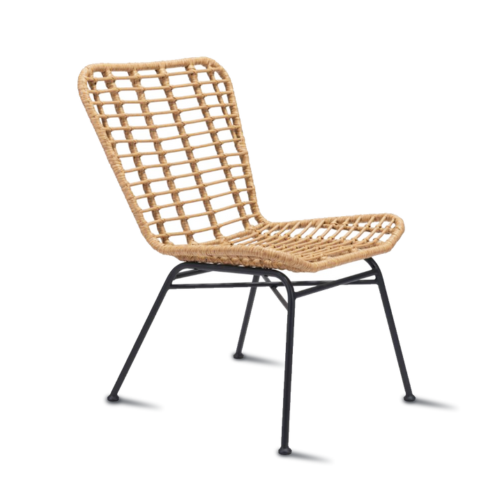 RANDY Dining Chair PE Rattan