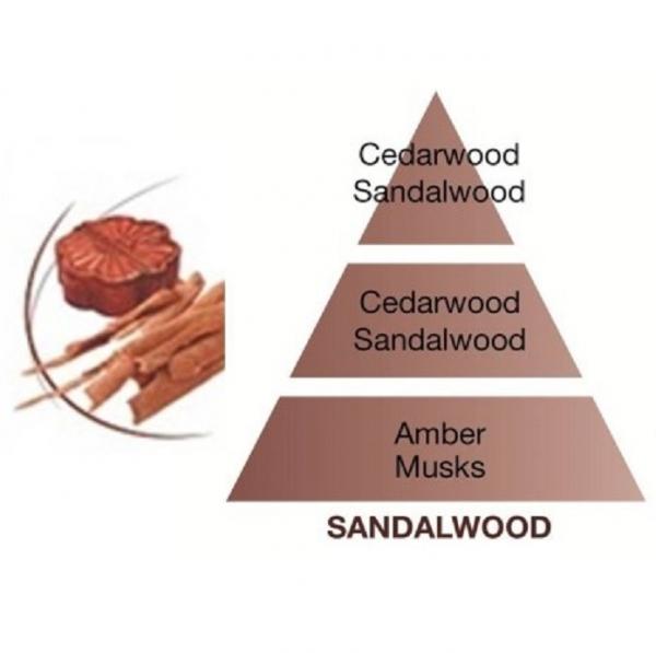 MAISON BERGER PARIS Sandalwood Lampe Refill