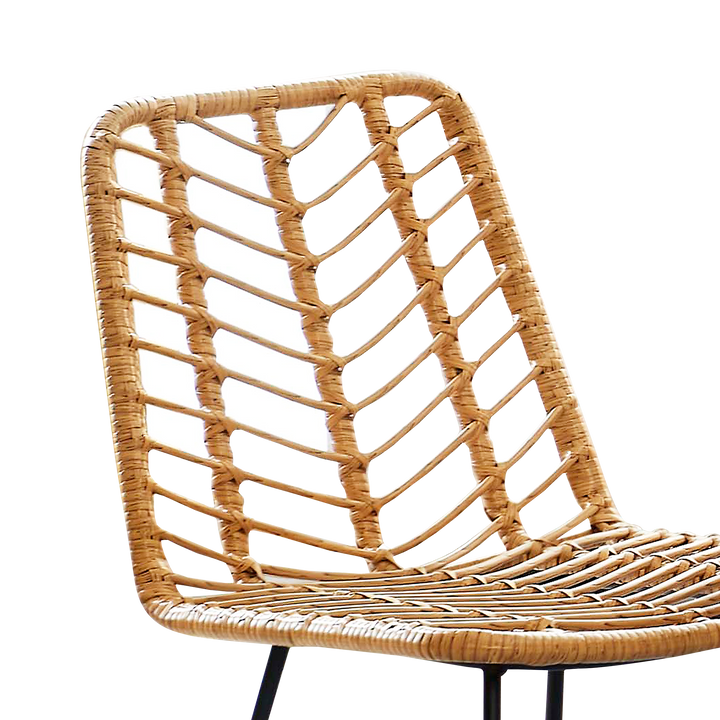SILAS Dining Chair PE Rattan