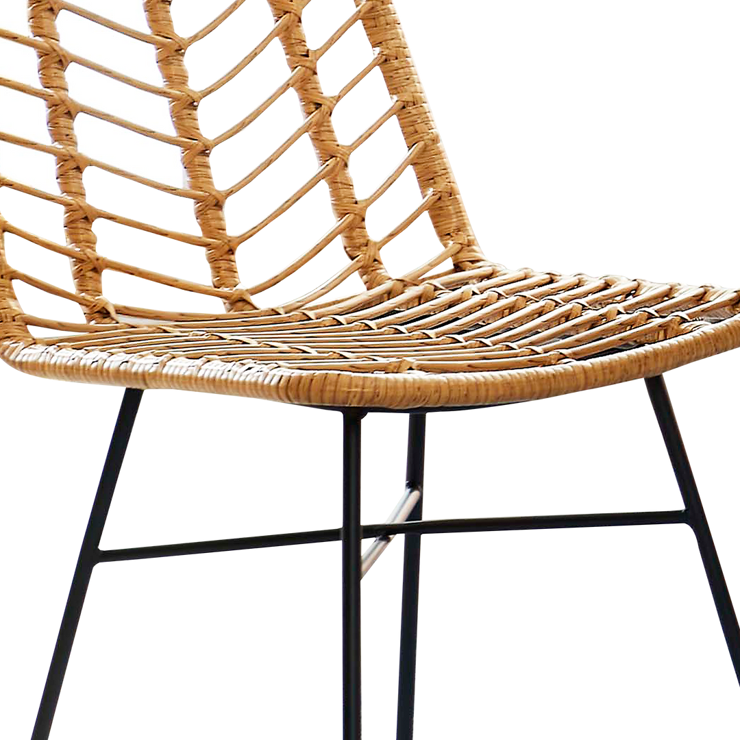 SILAS Dining Chair PE Rattan