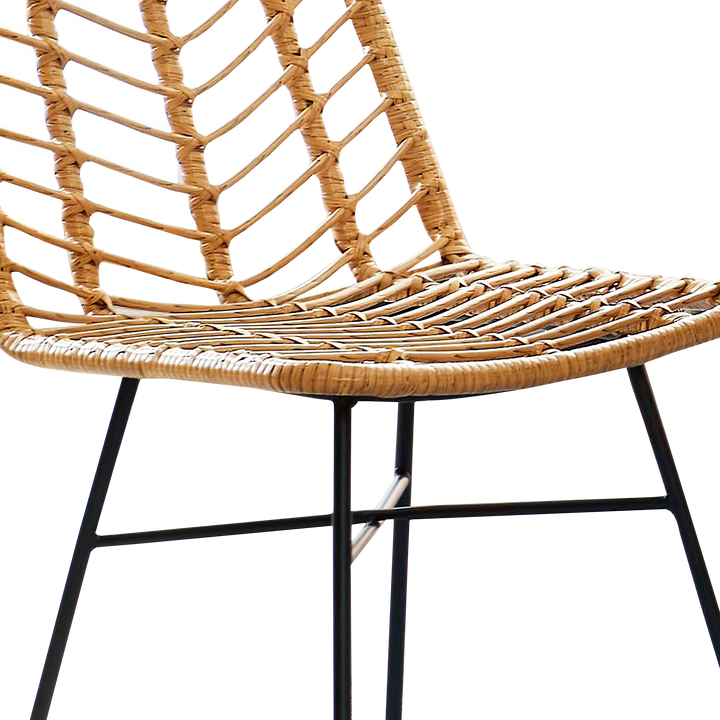SILAS Dining Chair PE Rattan