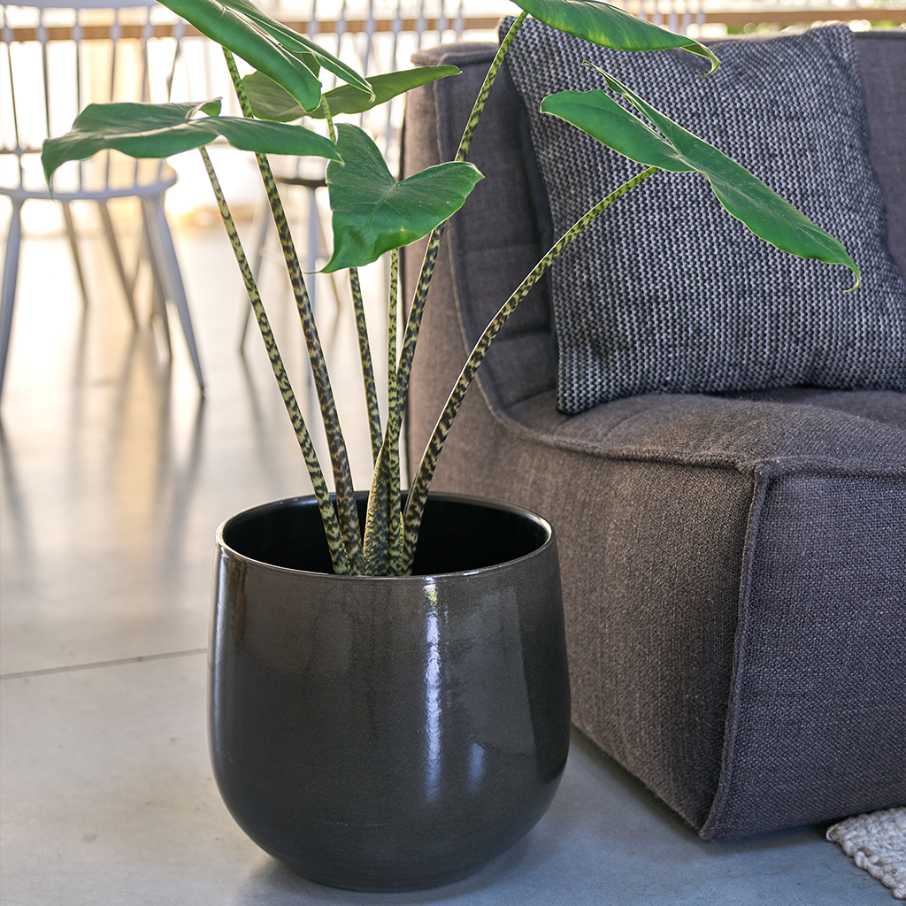 ORIGIN Ceramic Decor Pot