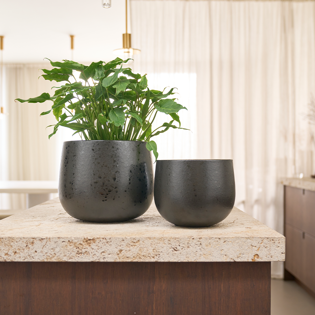 BLEND Ceramic Deco Bowl