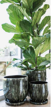 ARRAY Ceramic Decor Pot