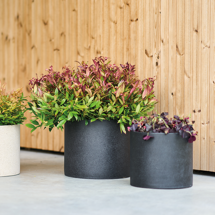 WEDGE Concrete Decor Pot (2 in 1)