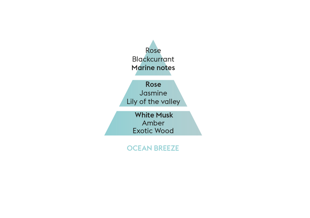 MAISON BERGER PARIS Car Refill Ocean Breeze