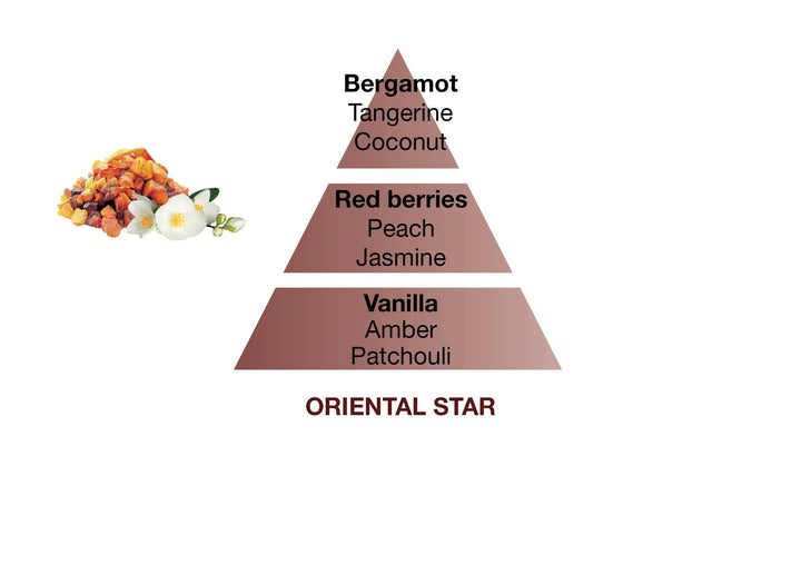 MAISON BERGER PARIS Car Refill Oriental Star