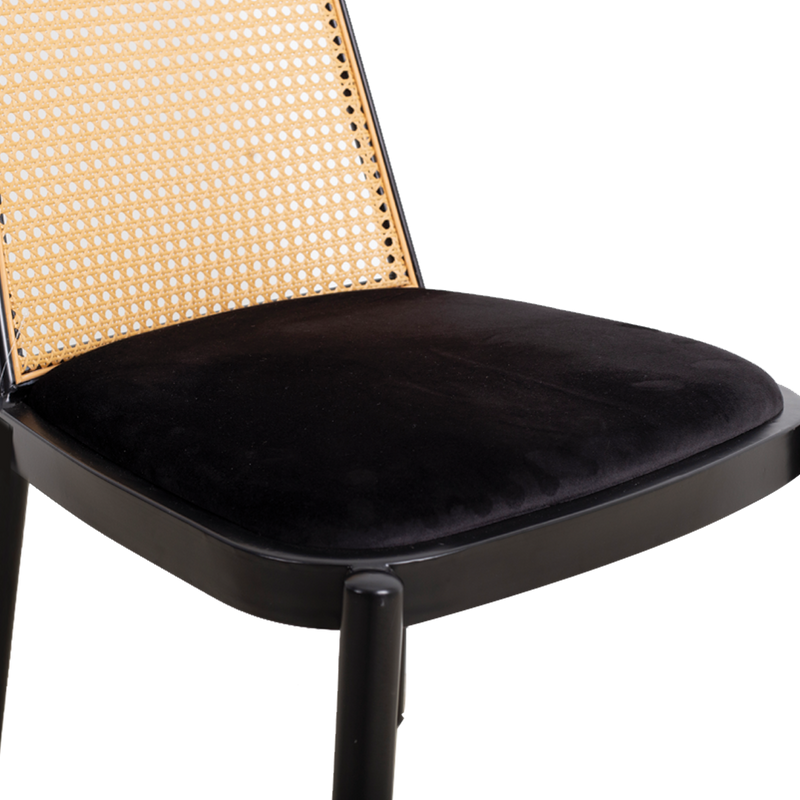 CIARA Dining Chair