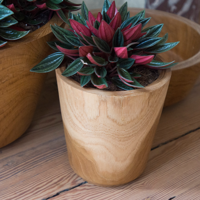 SIMPLE Wood Decor Pot